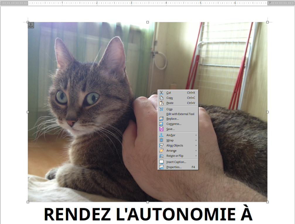 Find the cat Libreoffice writer